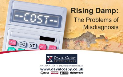 Rising Damp: The Problems of Misdiagnosis